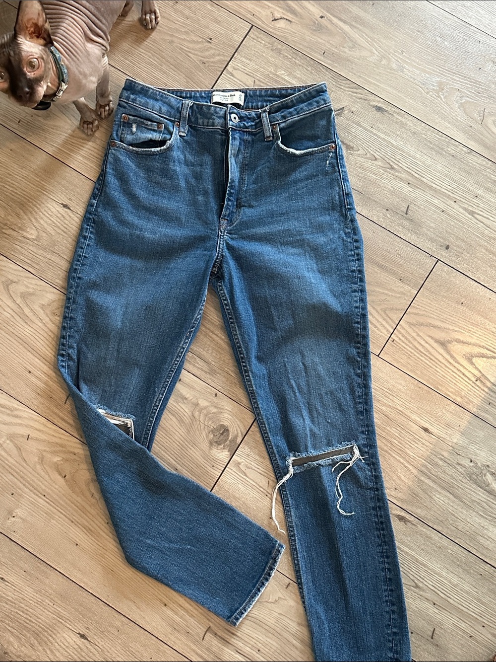 Abercrombie & Fitch Blue Skinny Jeans with Knee Rips
